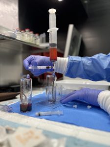 stem_cell_therapy_ultimatemedgroup_630-778-9047